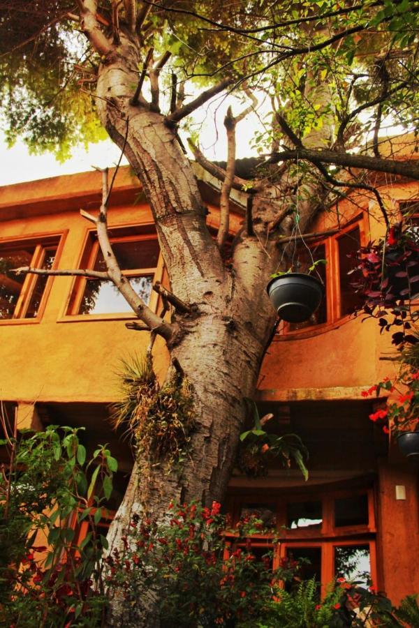 San Cristóbal de Las Casas Hospedaje Boutique Paz Creativa מראה חיצוני תמונה